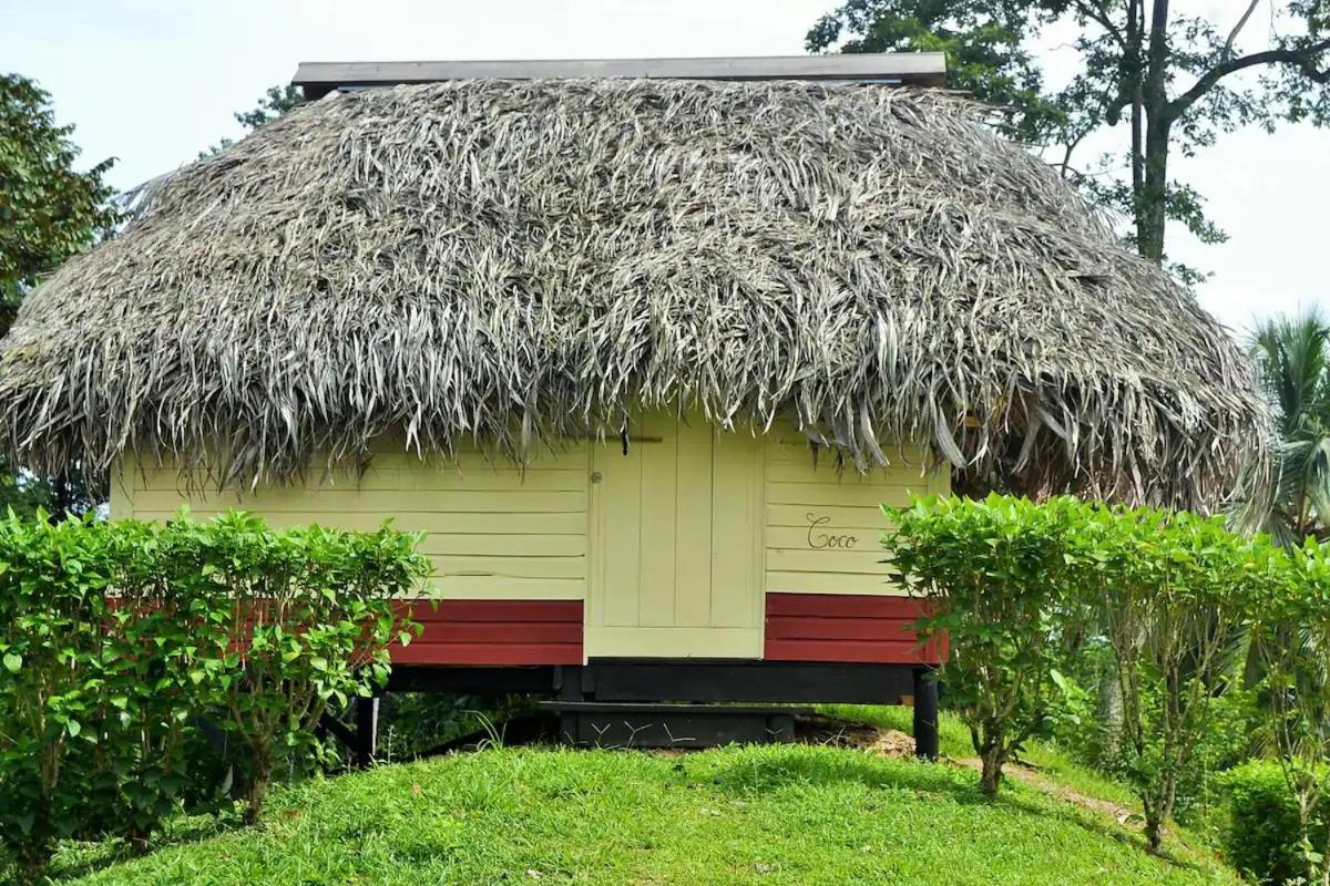 Nathylodge Bocas del Toro Esterno foto