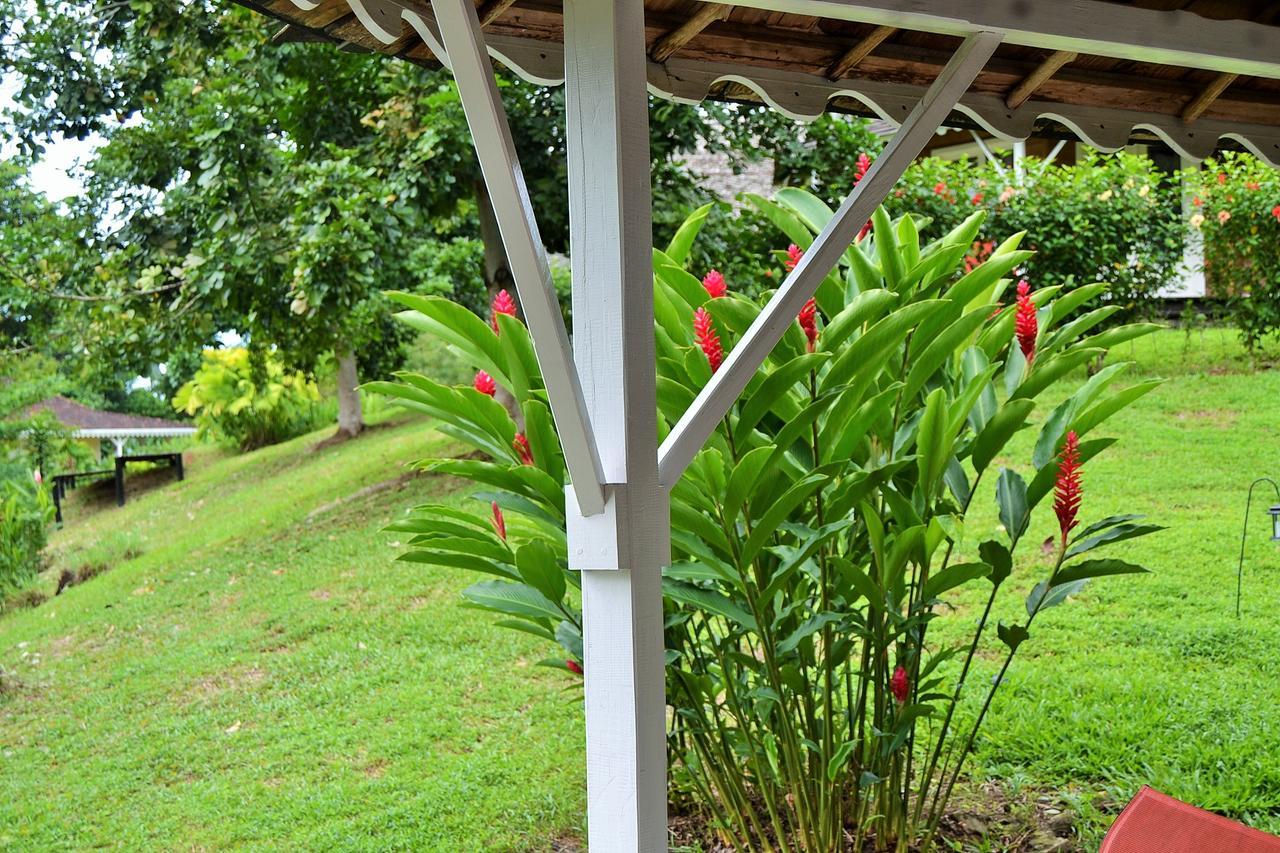 Nathylodge Bocas del Toro Esterno foto