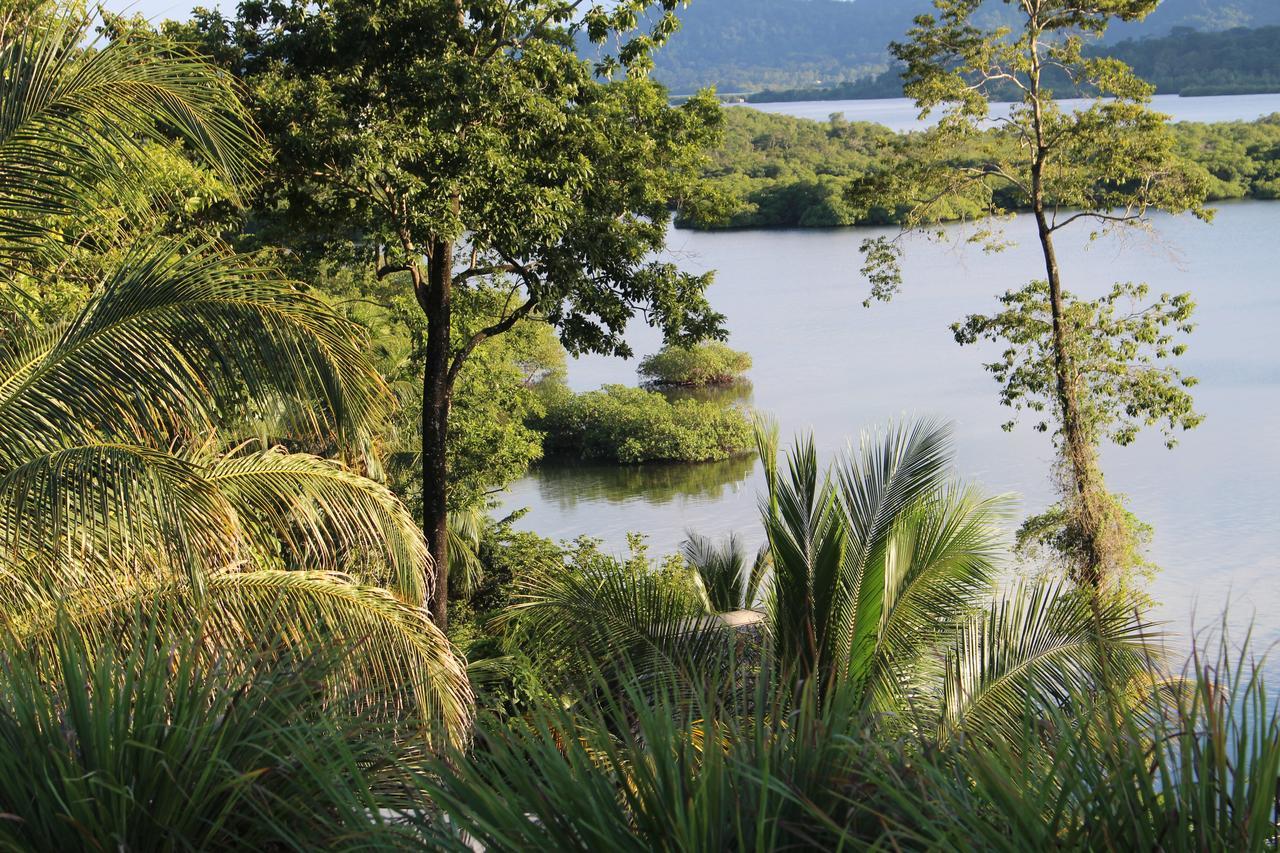 Nathylodge Bocas del Toro Esterno foto