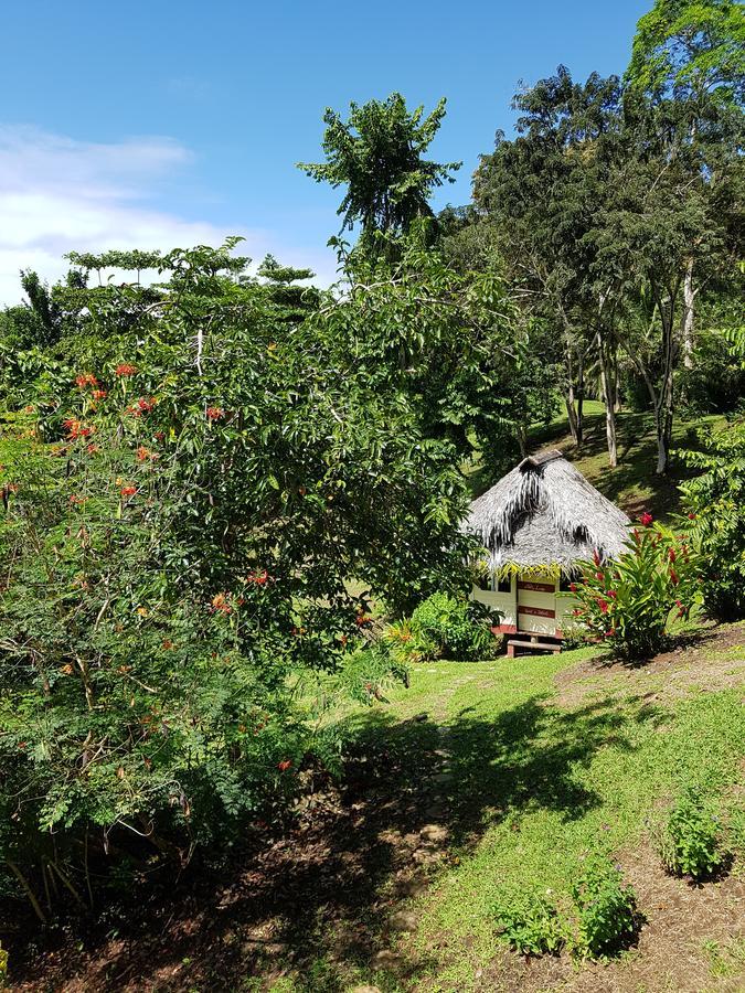 Nathylodge Bocas del Toro Esterno foto